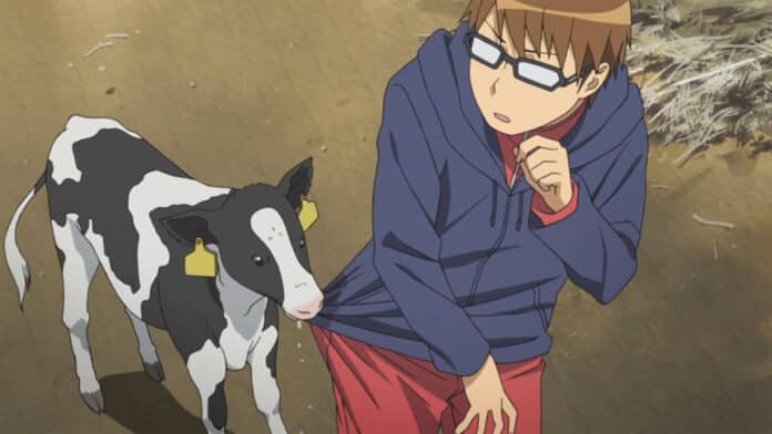 Gin no Saji
