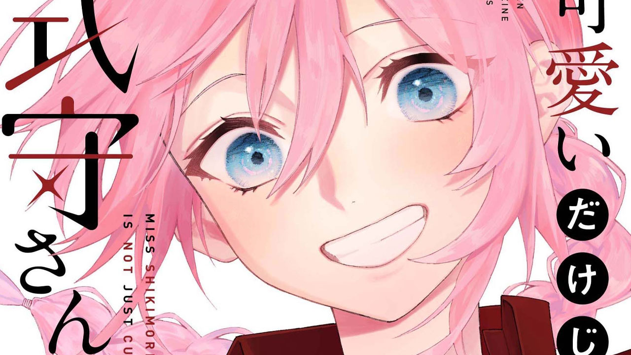 Kawaii Dake Ja Nai Shikimori-san manga vol 13
