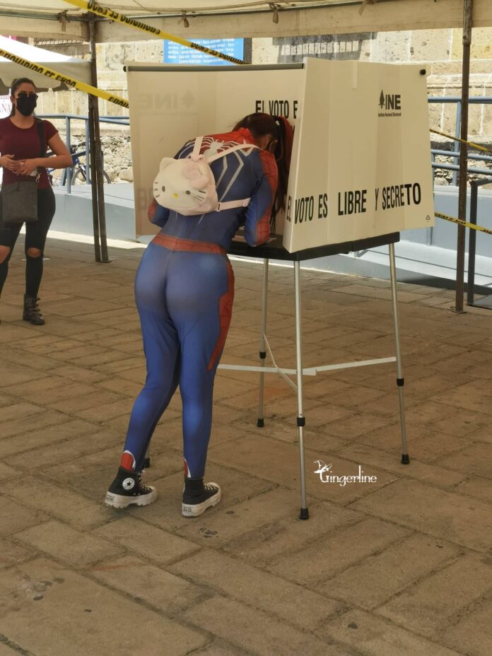 Gingerline Revocacion de mandato