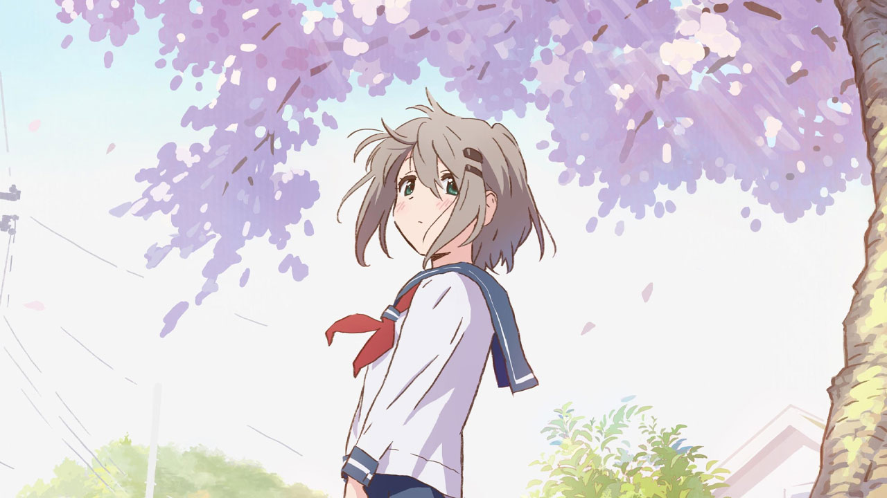 Yama no Susume Next Summit