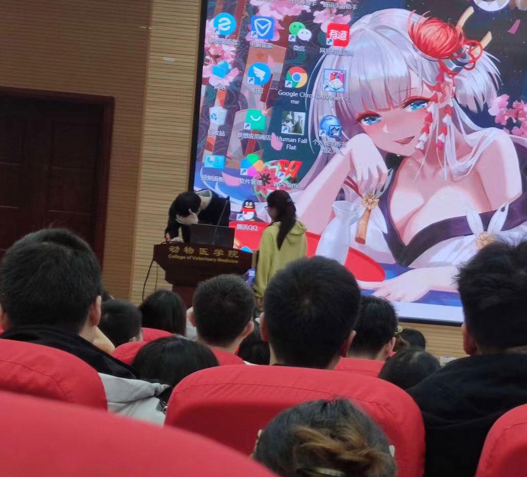 Estudiante Proyección Waifu