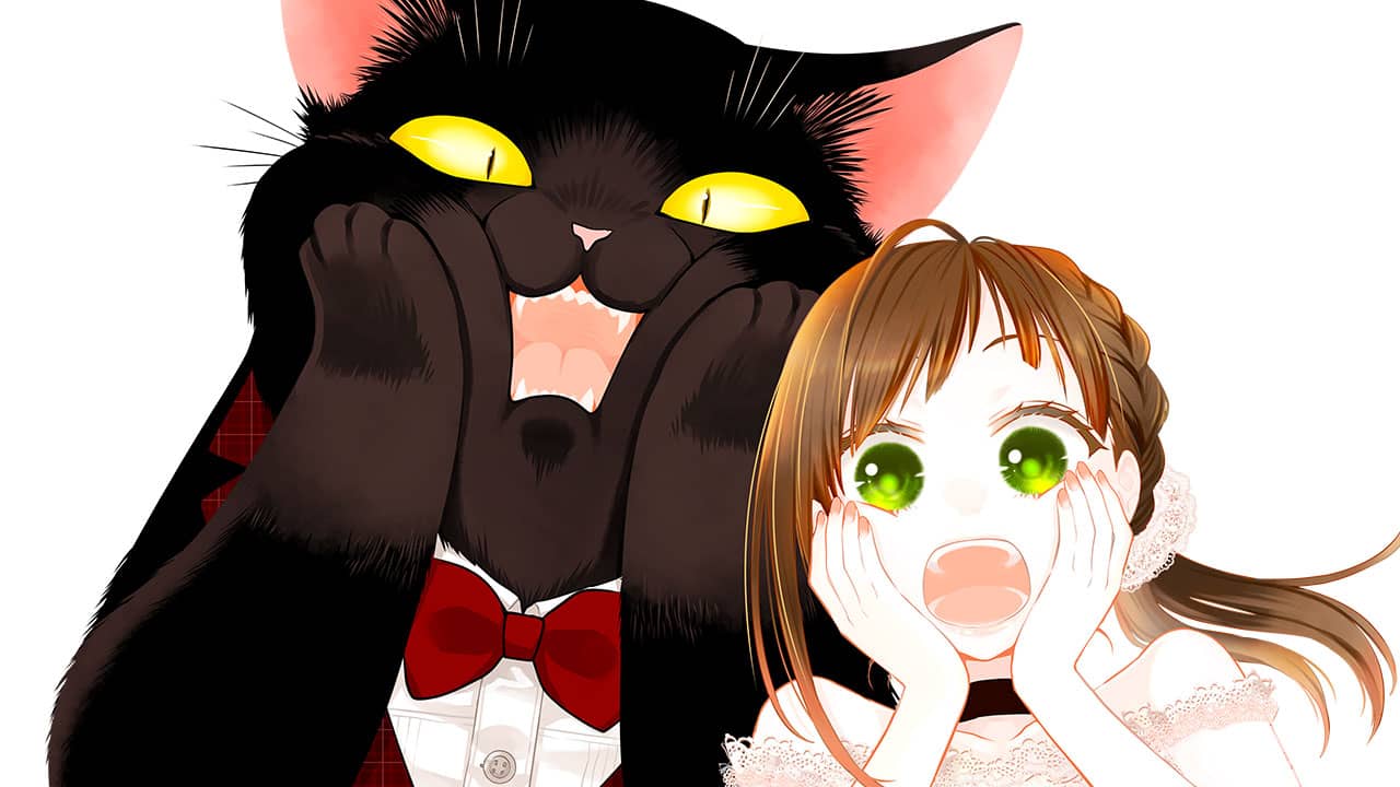 Dekiru Neko wa Kyou mo Yuutsu anime