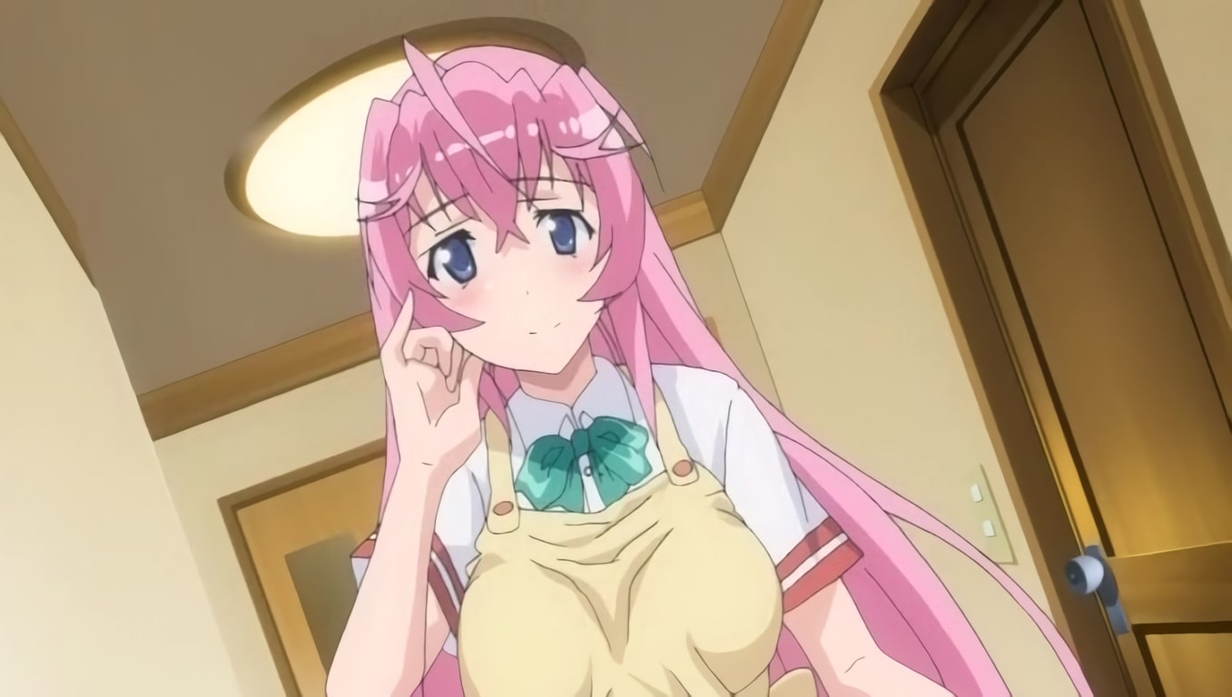 El NTR Otome Dori celebra 10 años de su estreno