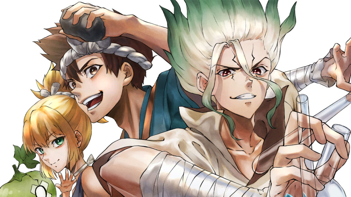 Dr. Stone