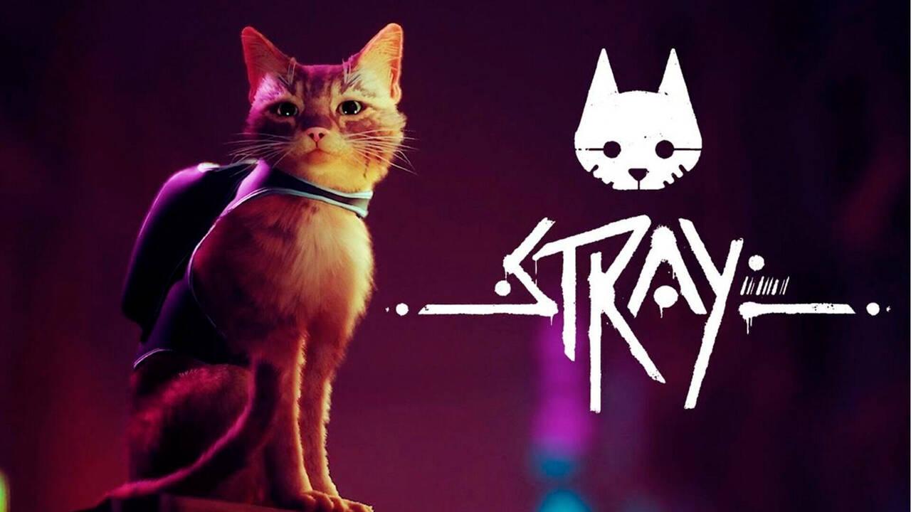 stray playstation