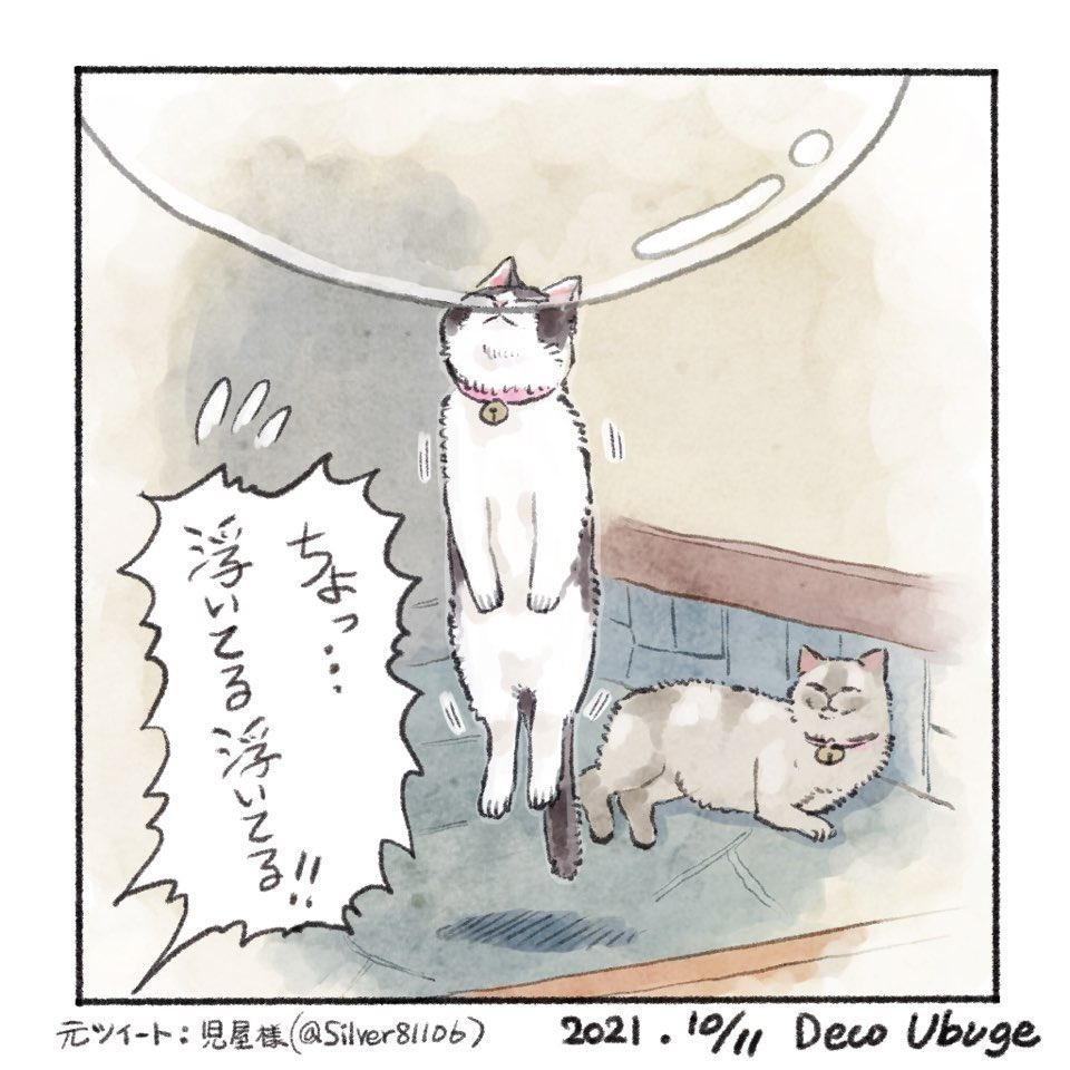 Gato anime burbuja nariz1