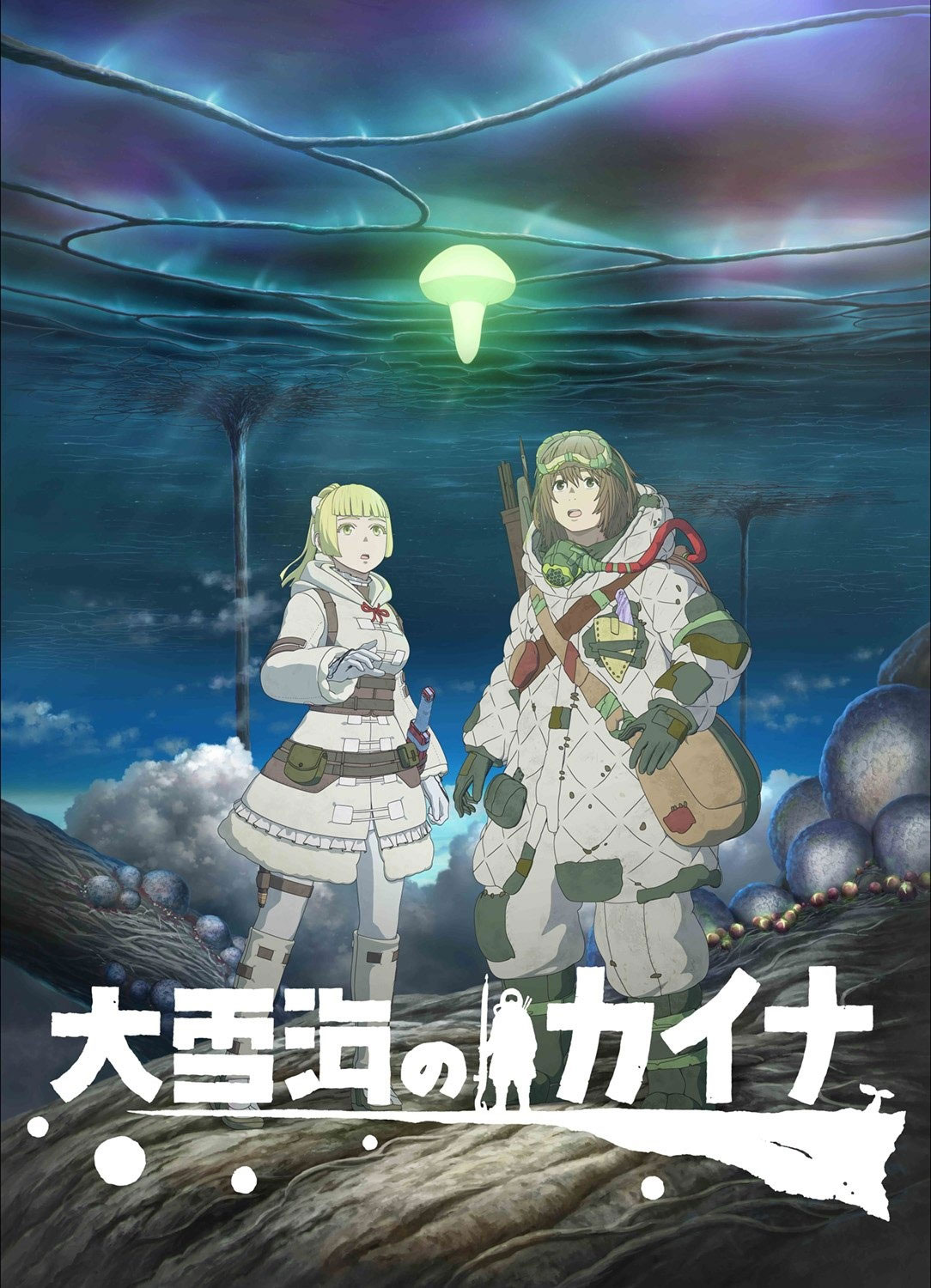 Ooyukiumi no Kaina anime visual