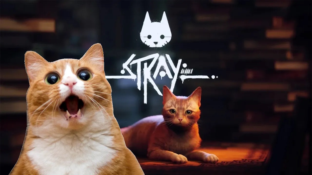 stray