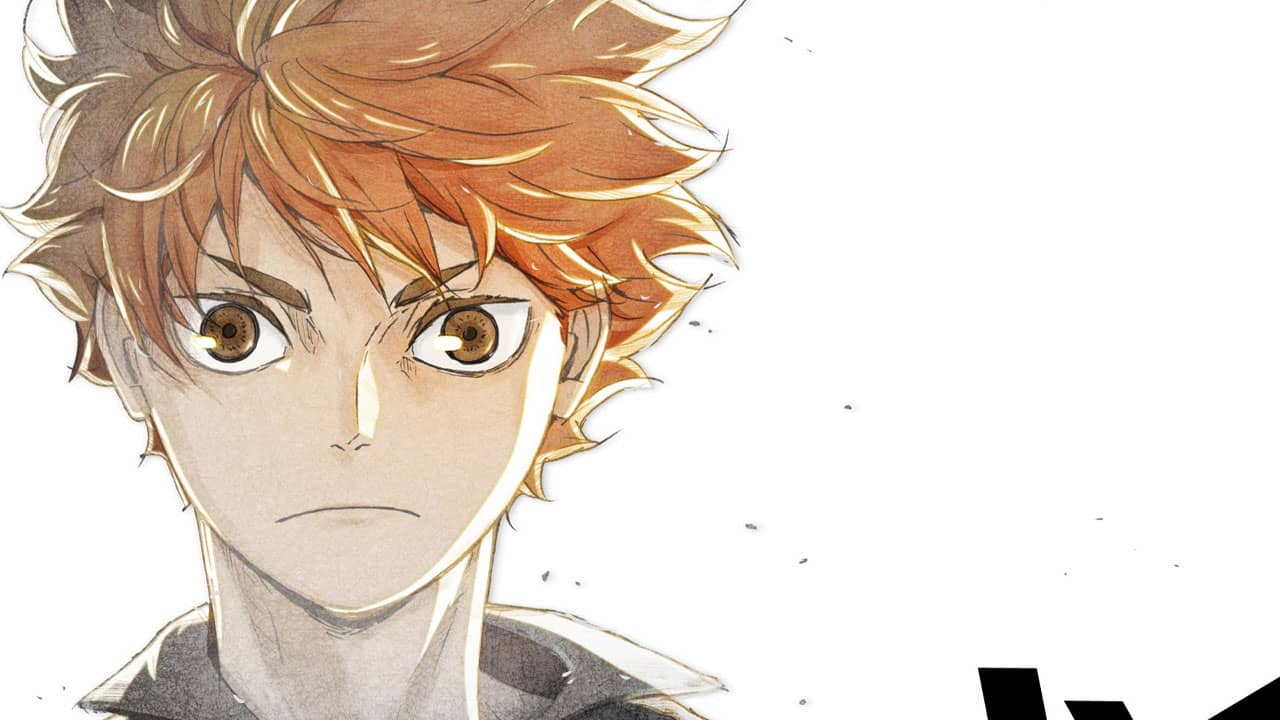 Haikyu!! Final visual