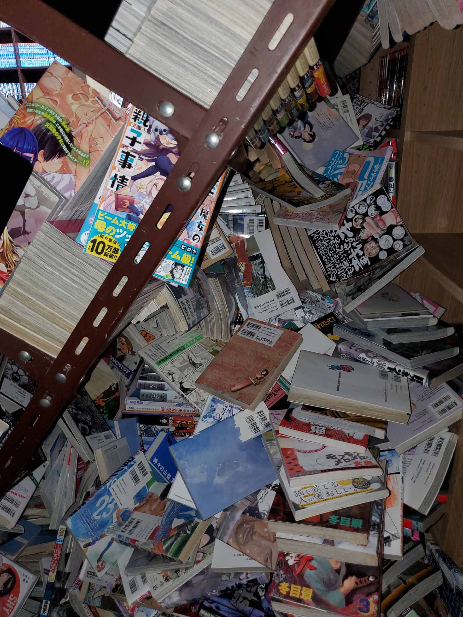 Otaku_Manga_coleccion