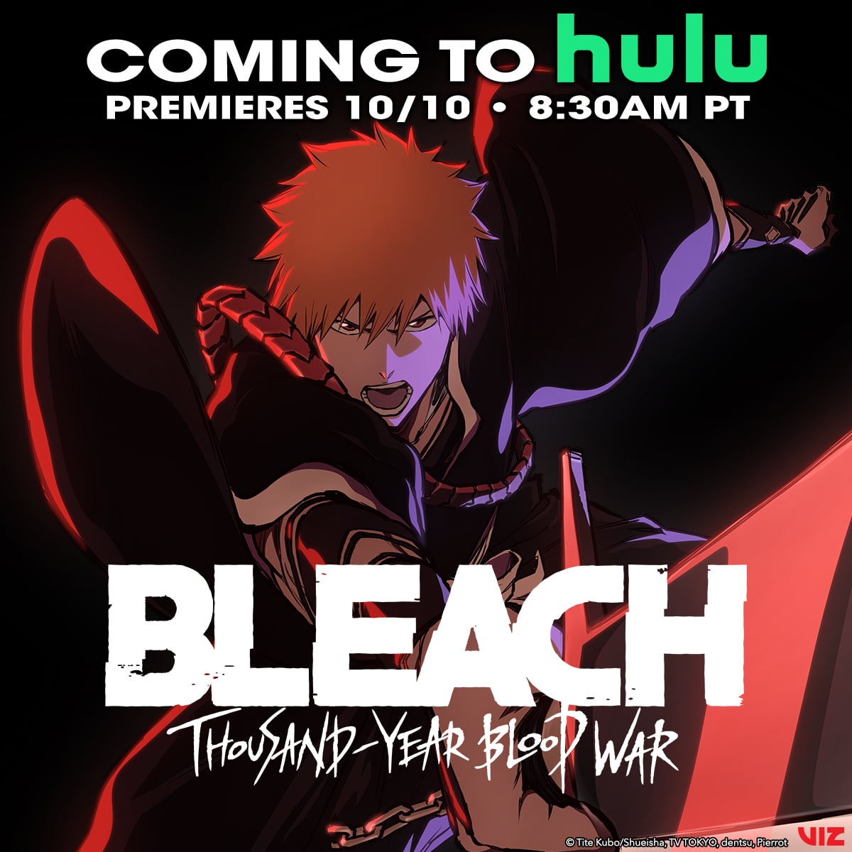 Bleach