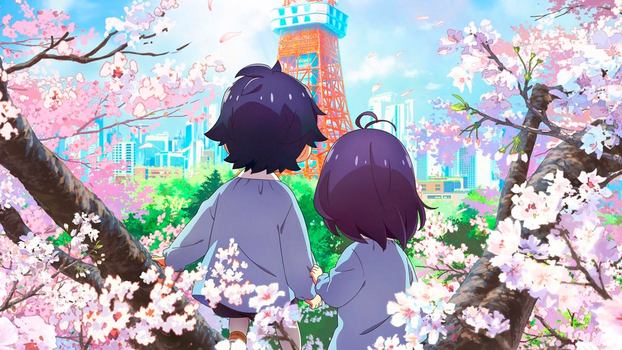 Renai Flops visual