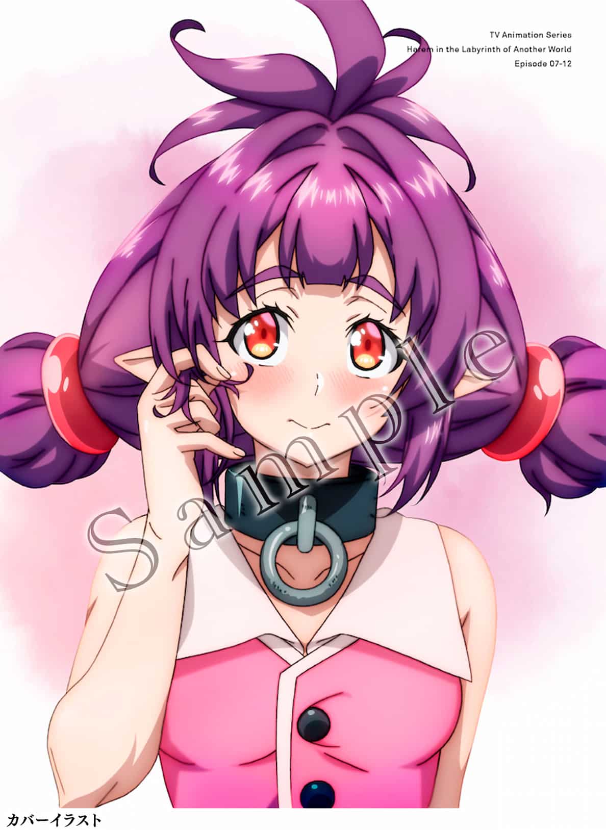 Isekai Meikyuu de harem wo Seri Ilus BD/DVD BOX 2