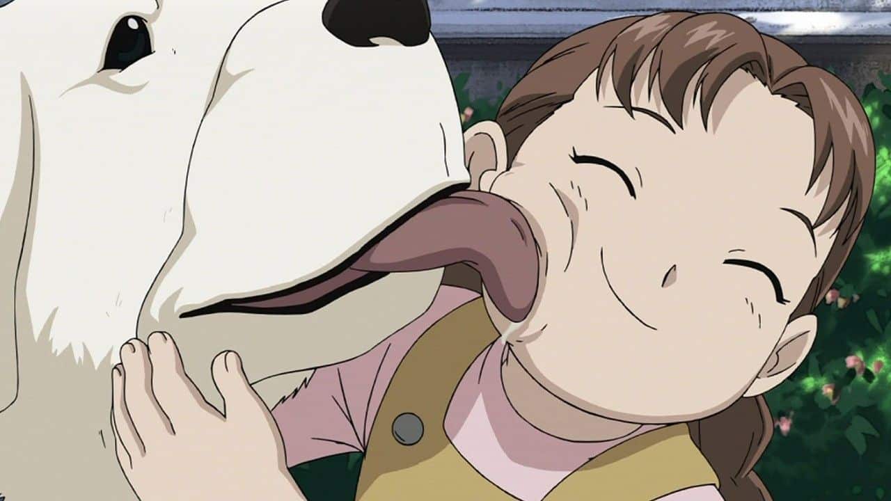 Nina Tucker Fullmetal Alchemist