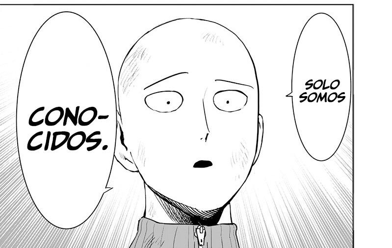 One Punch Man