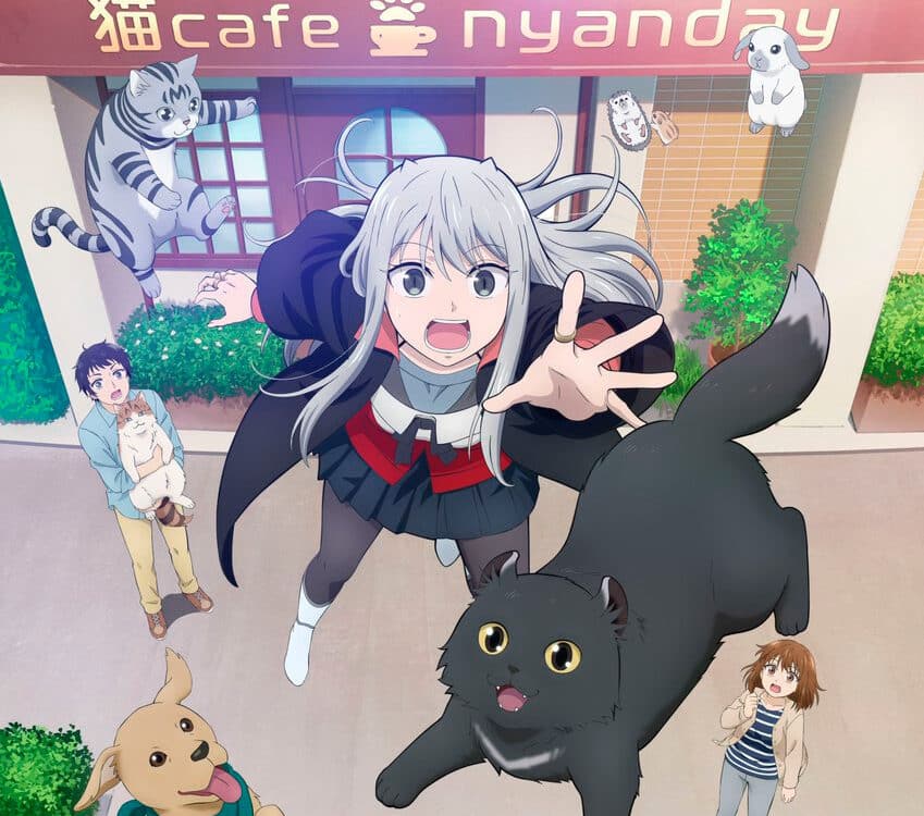 Too Cute Crisis visual