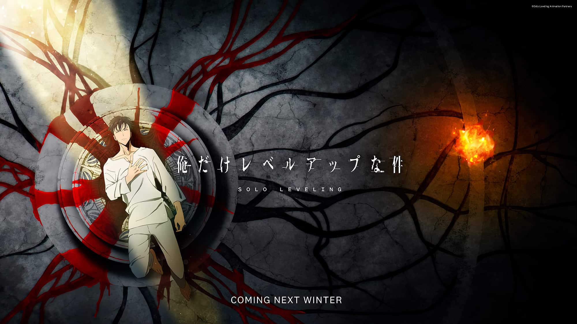 Solo Leveling anime visual