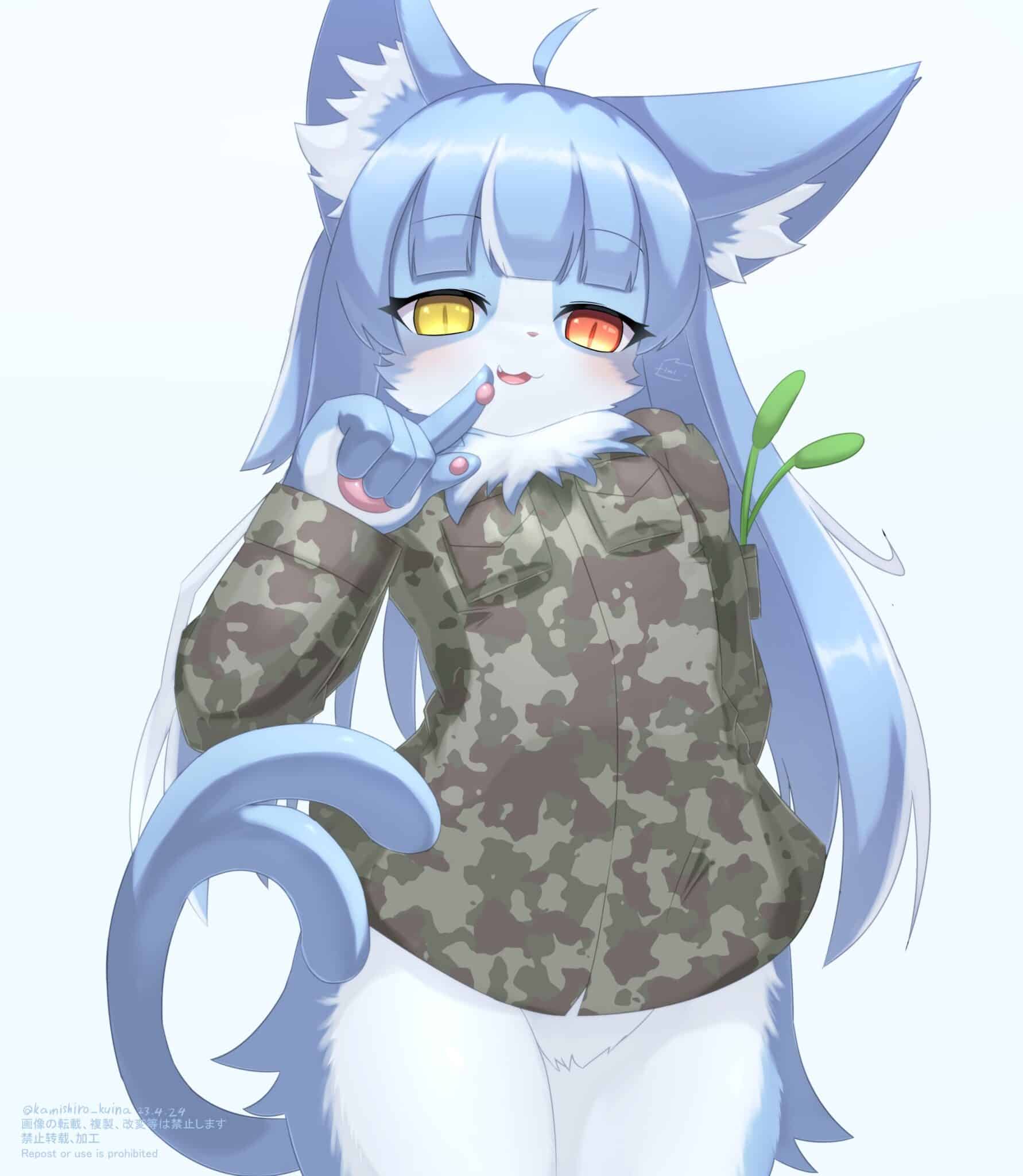 Omaneko - mascota furro