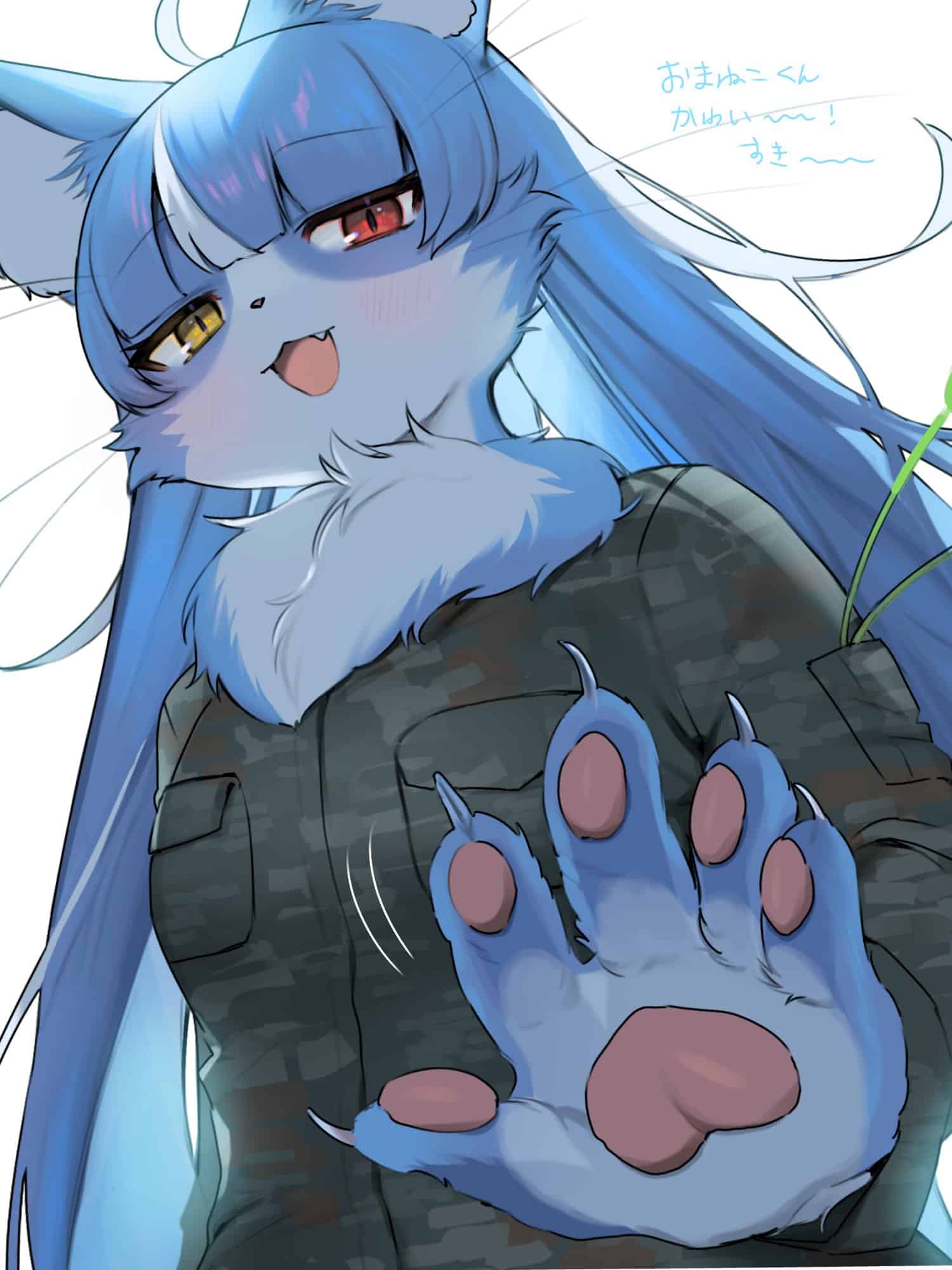 Omaneko - mascota furro