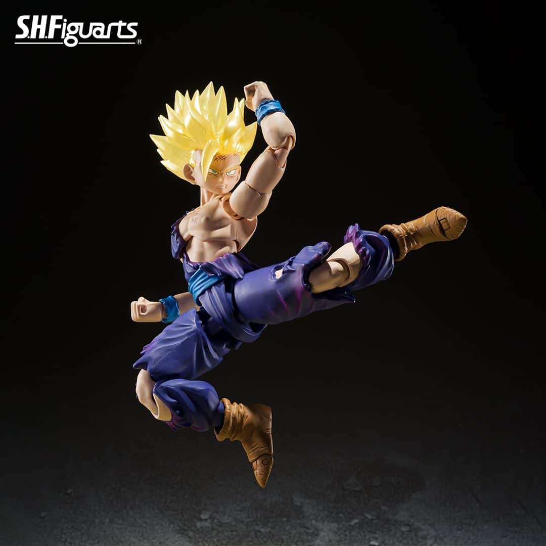 Dragon-Ball-Gohan-Goku-Tamashii-3