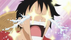 one piece luffy