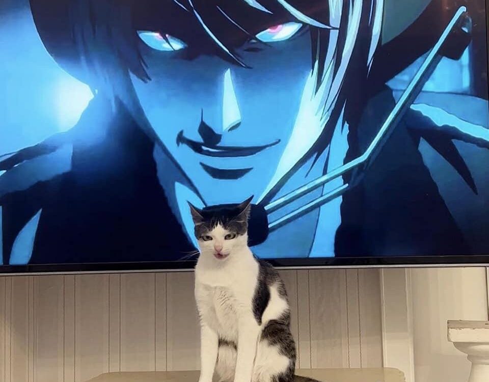 Michi se convierte en Ligth de Death Note