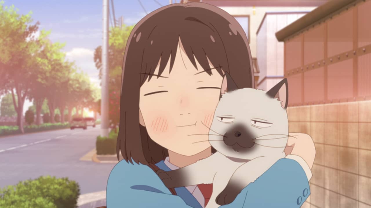 Skip to Loafer anunció su Segunda Temporada