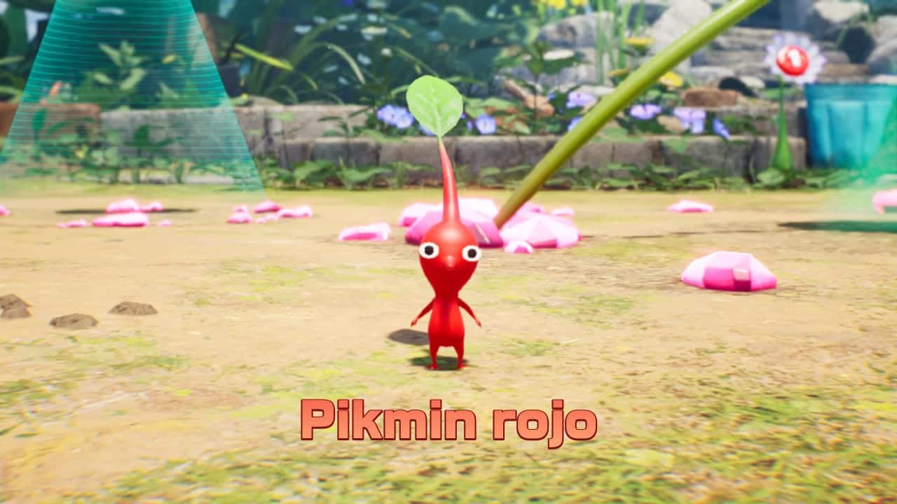 resena-pikmin-4-4