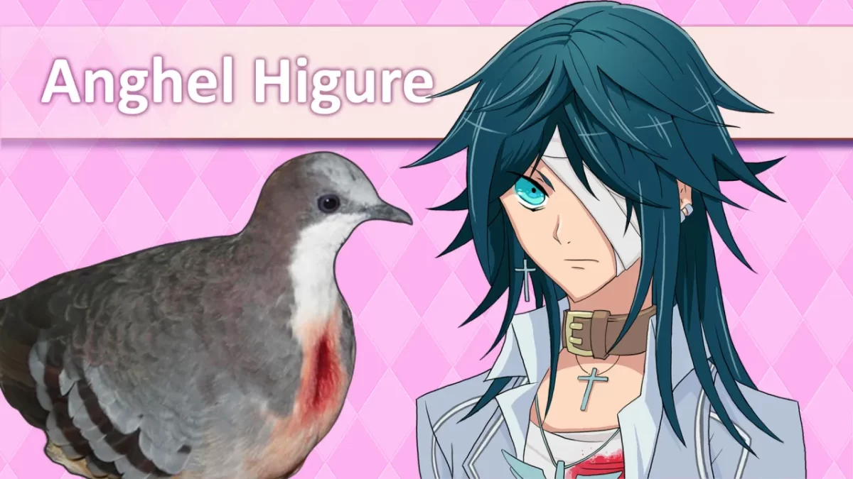 HATOFUL BOYFRIEND IMAGEN 2