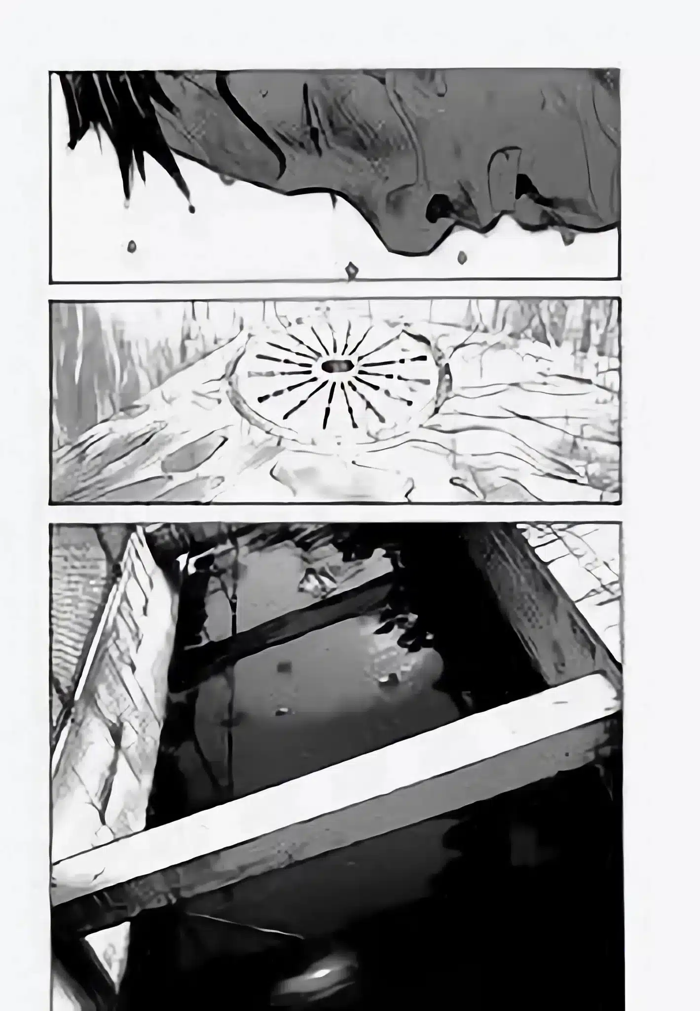 Manga Line: La trágica historia de Junko Furuta será publicada "17 años" llega a México