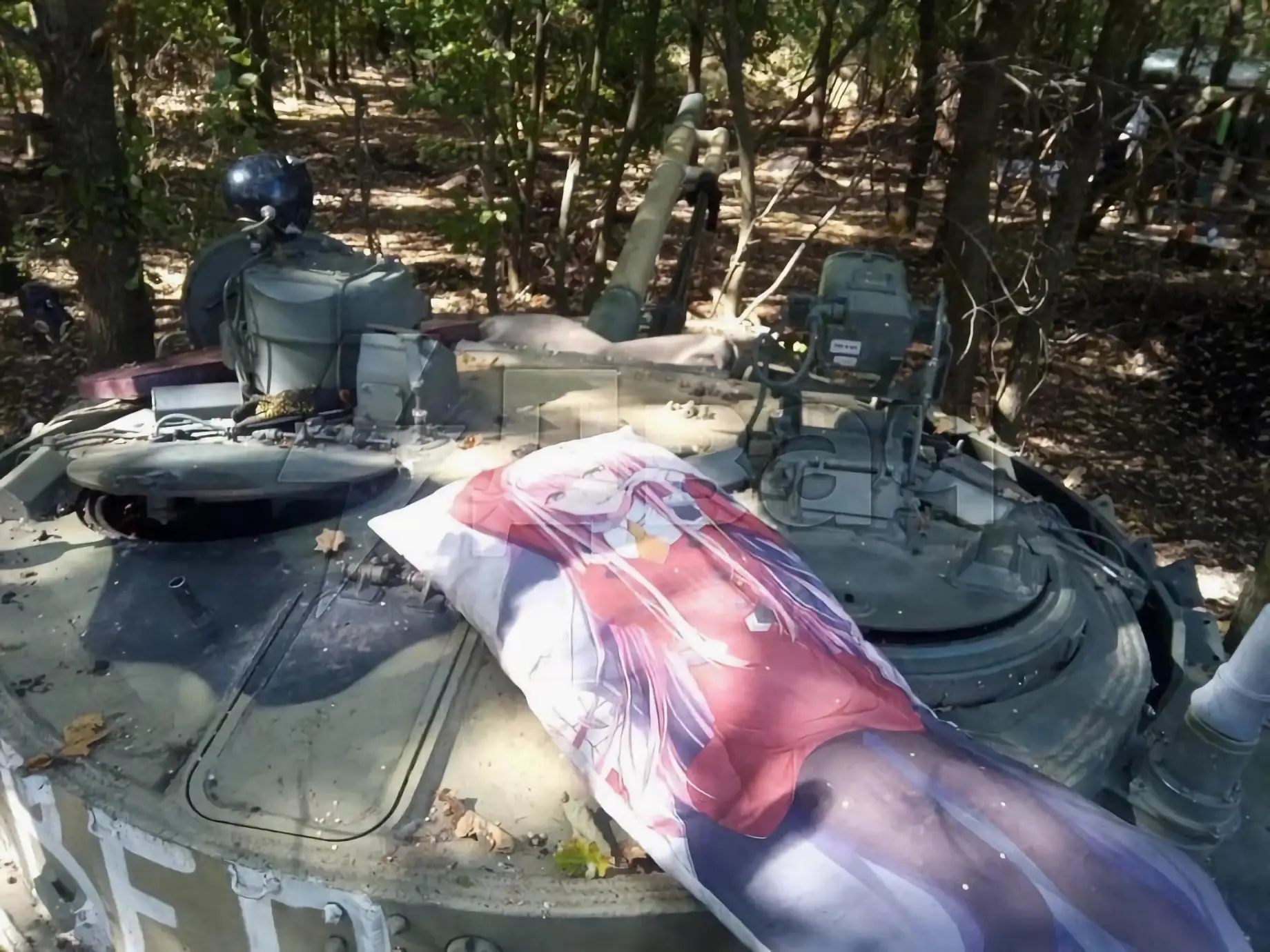 Fan del anime: La historia del soldado Ruso que conquista internet