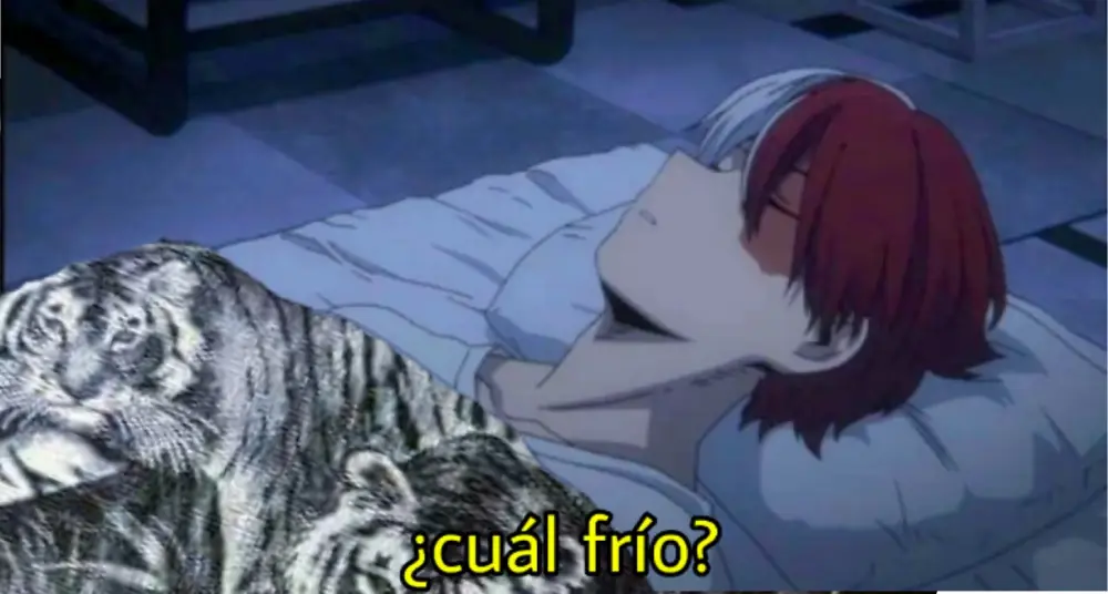 Meme anime cobija