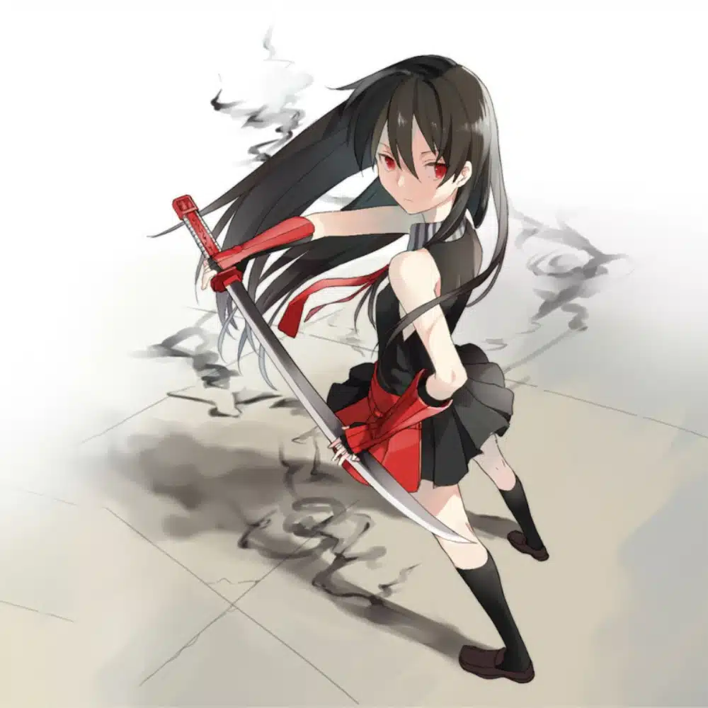 Akame ga Kill! Akame ilustración 06