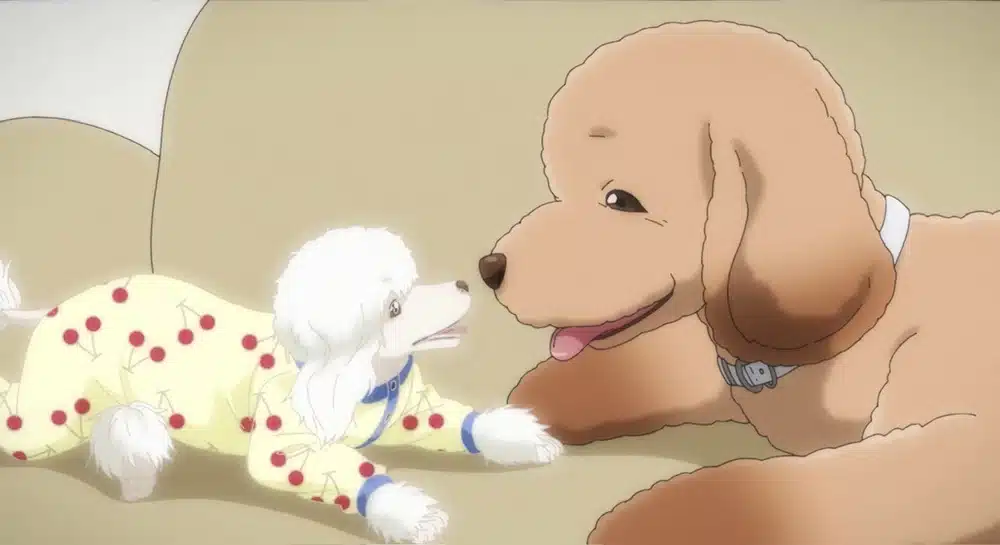 Dog-Signal-anime-reseña-4