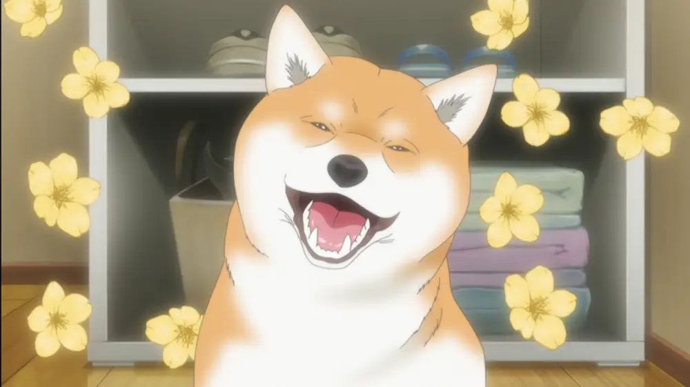 Dog-Signal-anime-reseña-9