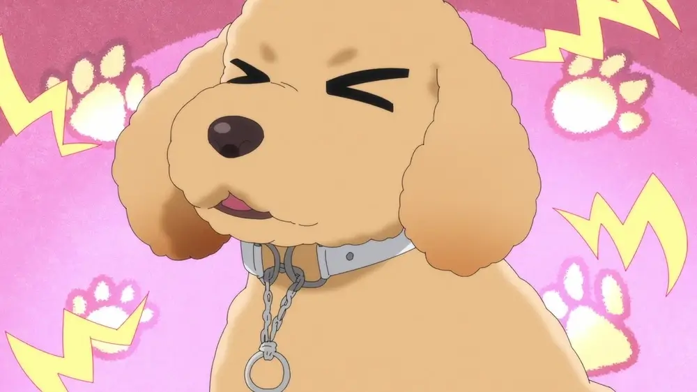 Dog-Signal-anime-reseña-3