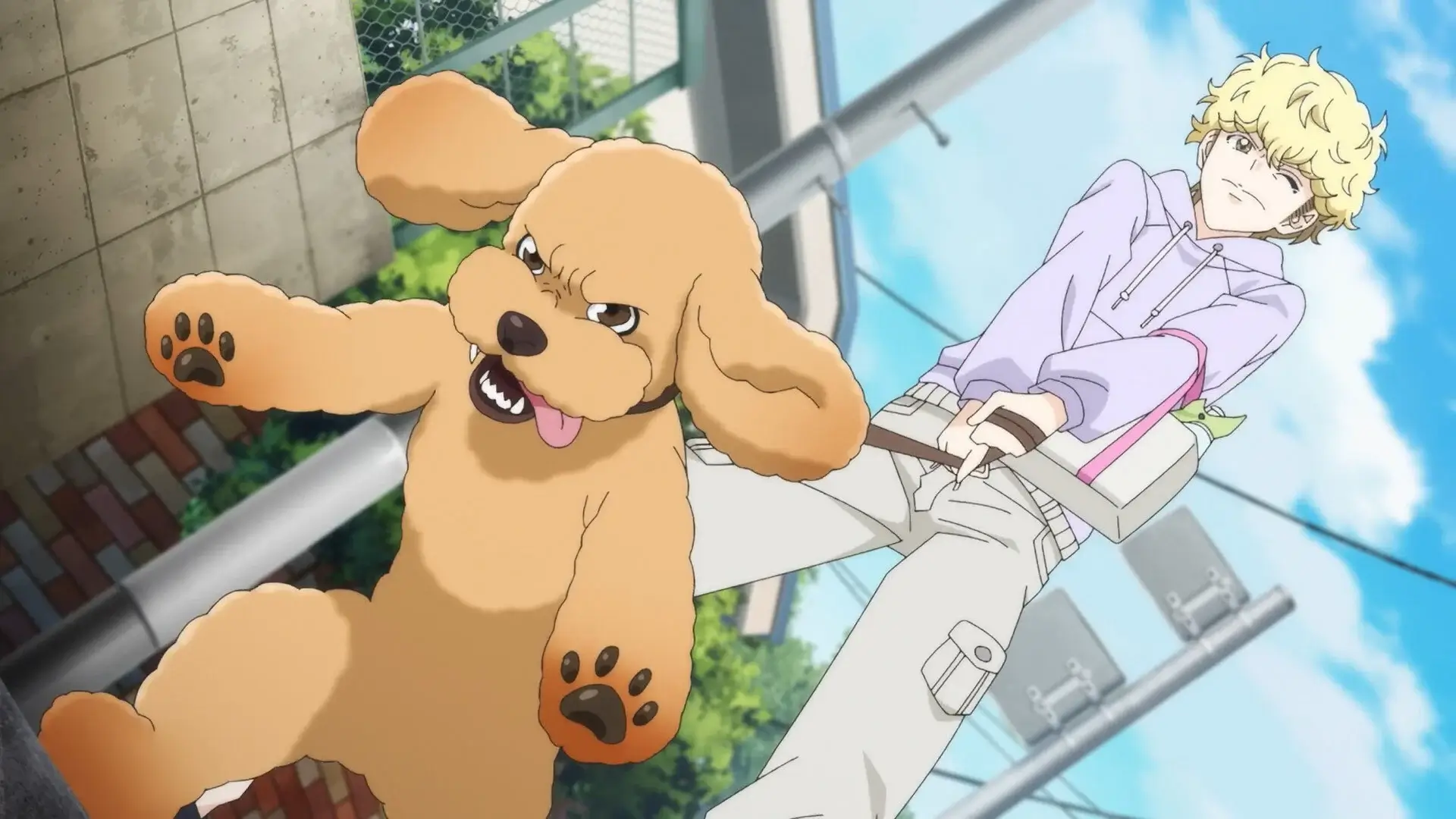 Dog-Signal-anime-reseña-5