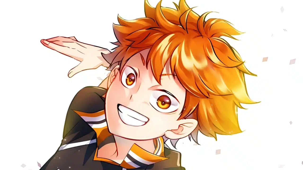 Hinata Shouyo Haikyu!