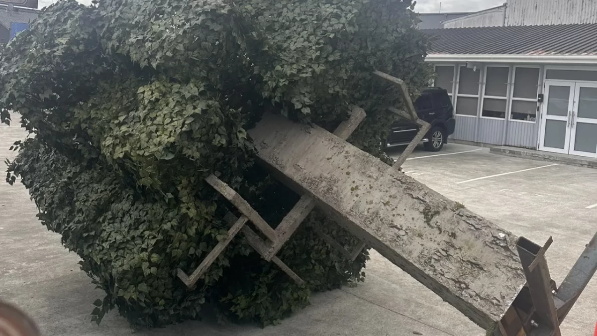 Prop de un árbol del set de Minecraft.