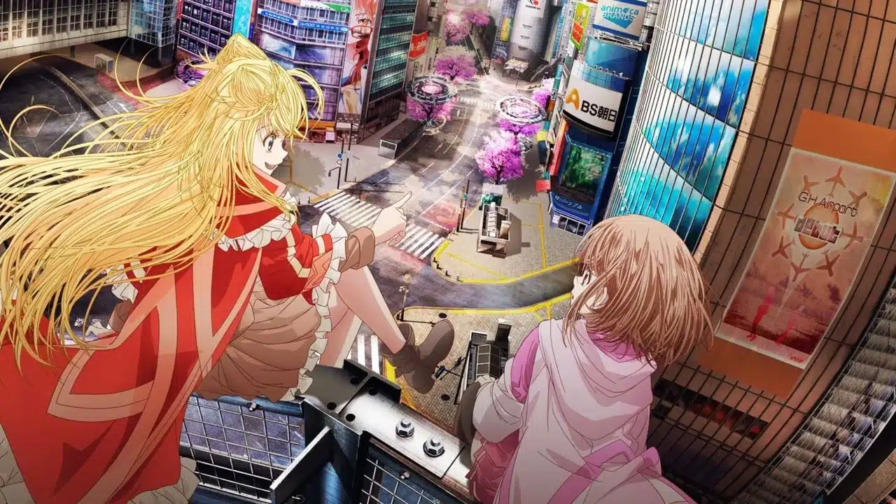Momentary Lily Portada