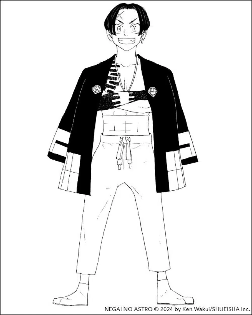 Negai no astro Hibaru visual 0101