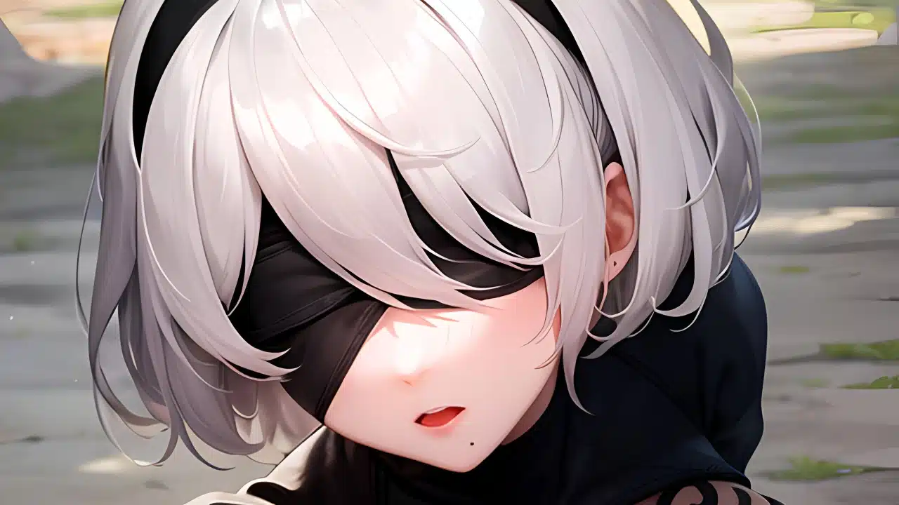 NieR Automata 2B