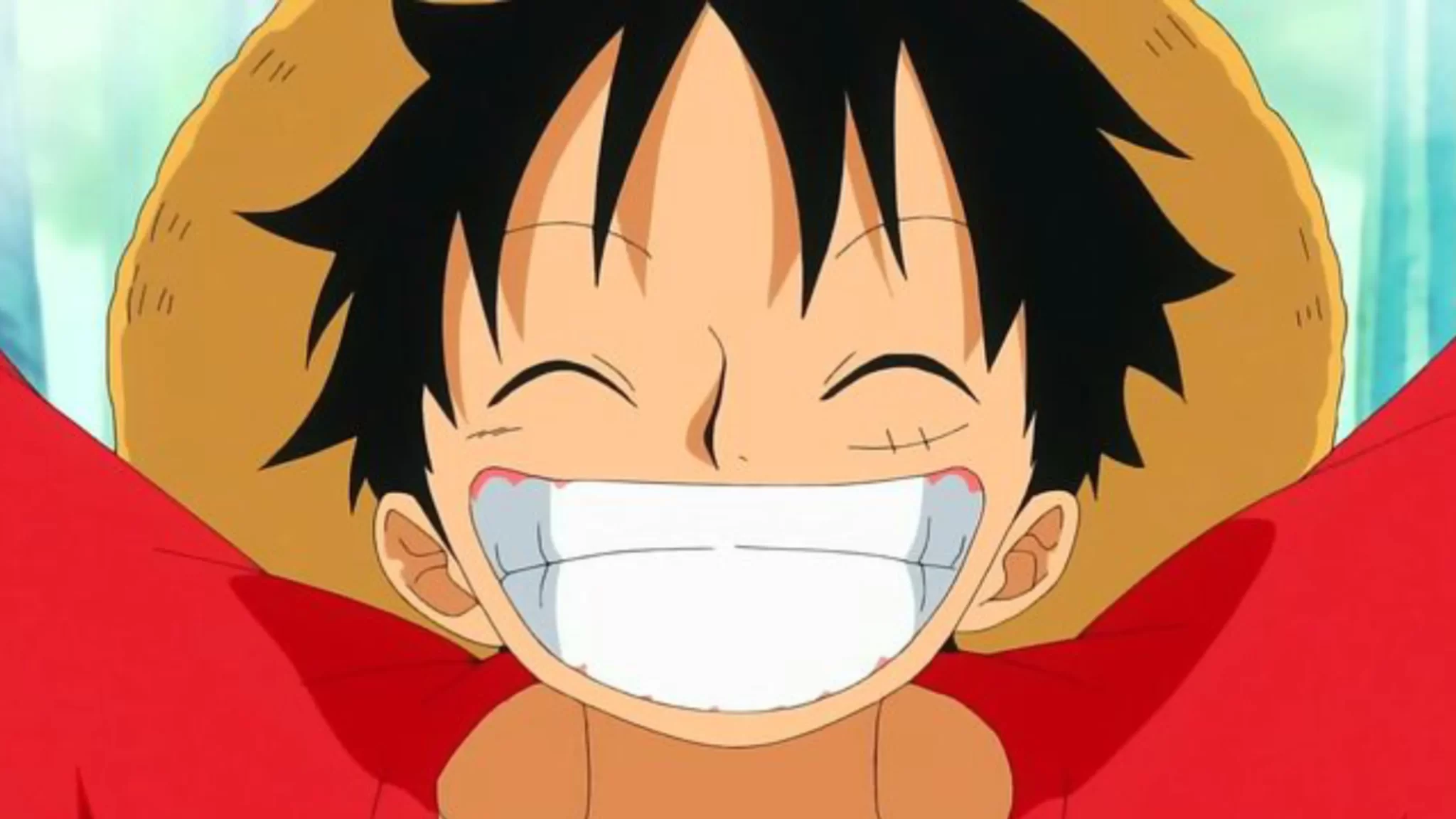 One Piece cumpleaños de Luffy PORTADA