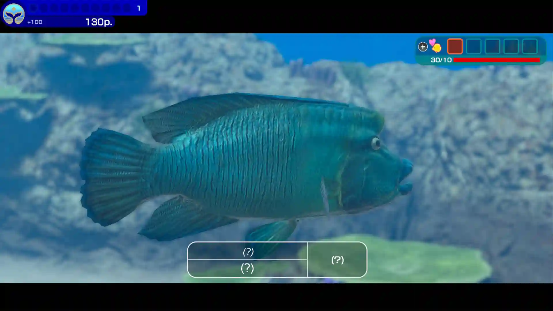 Endless Ocean Luminous