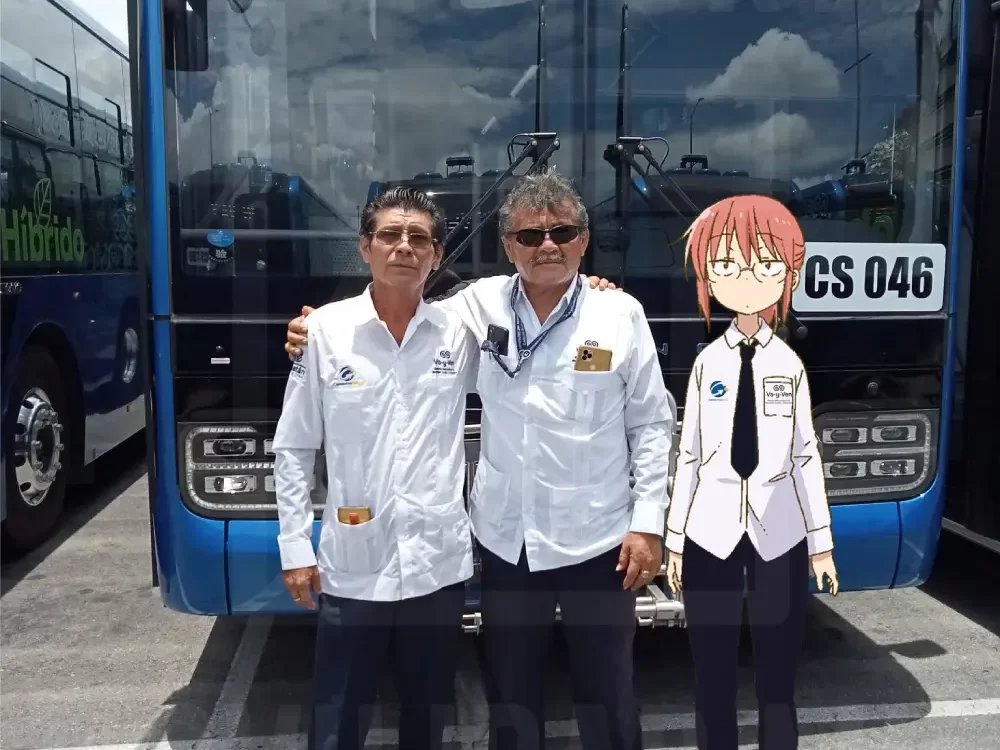 Kobayashi-san meme transporte
