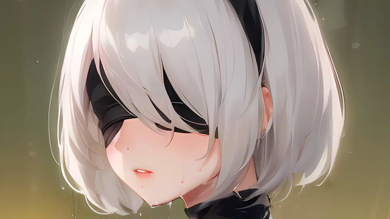 NieR Automata 2B