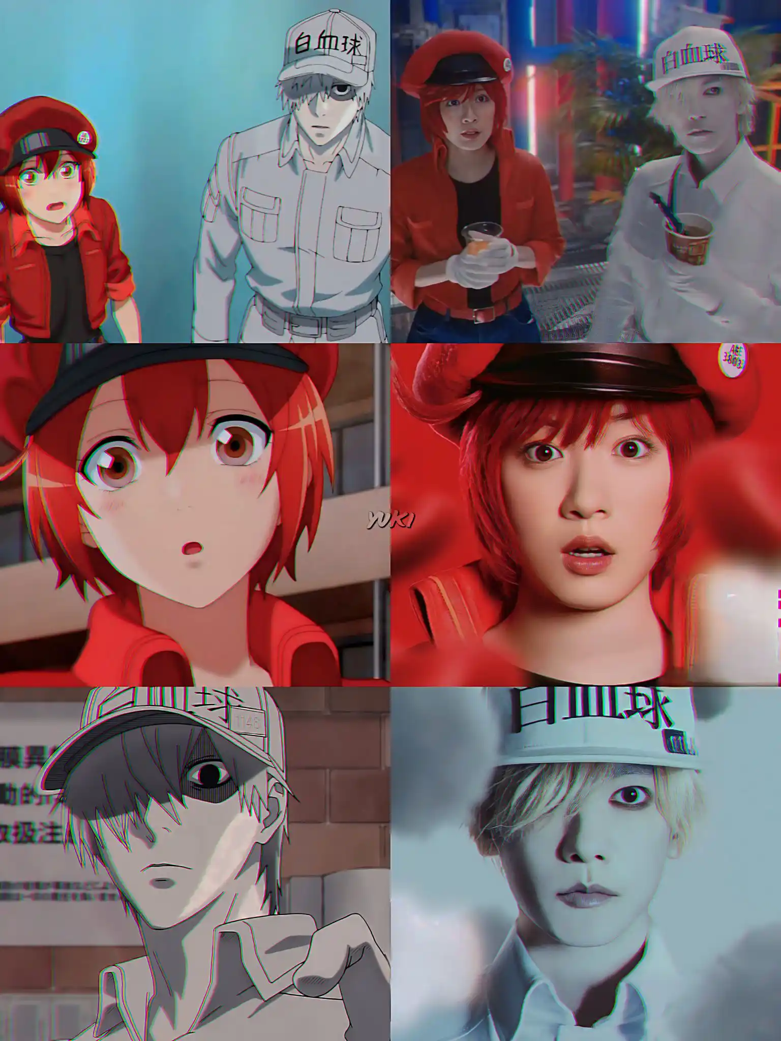 Hataraku Saibou anuncia el estreno de su Live Action con un fabuloso tráiler