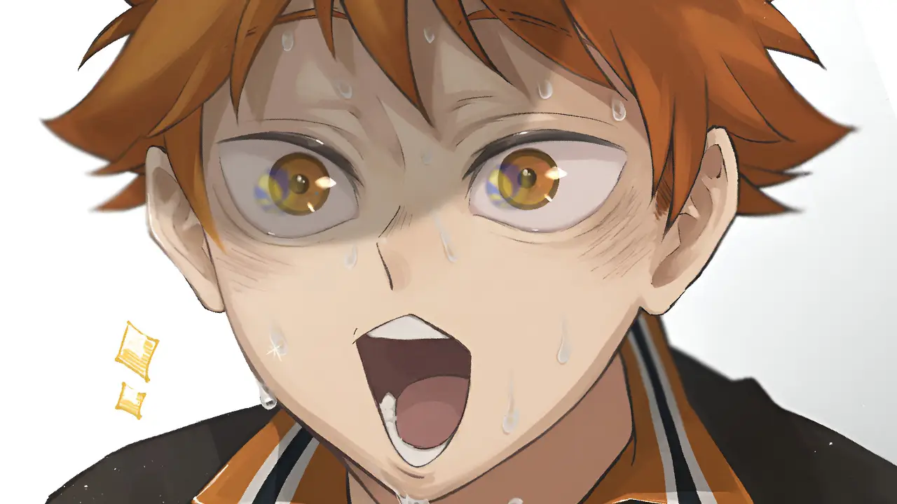 Haikyuu Shoyo Hinata portada