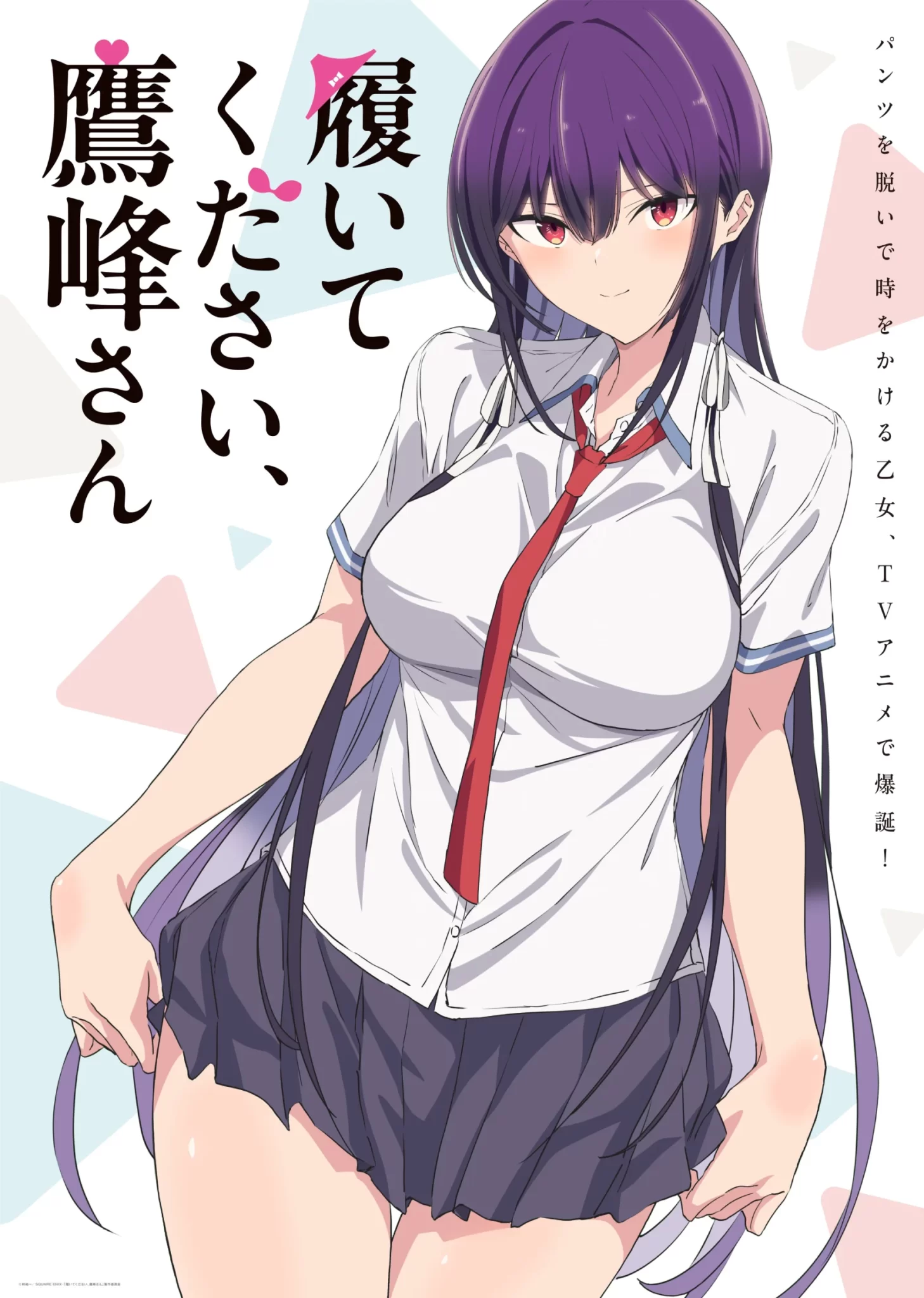 Haite Kudasai, Takamine-san anime visual