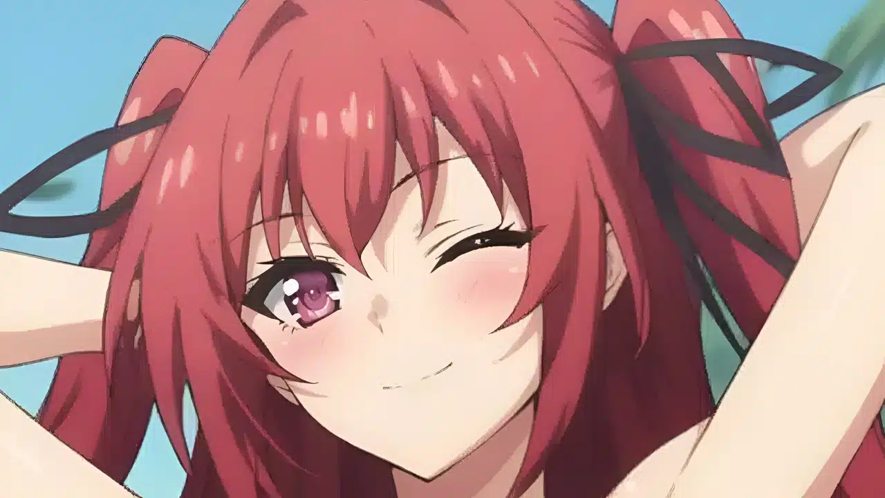 Autor de The Testament of Sister New Devil